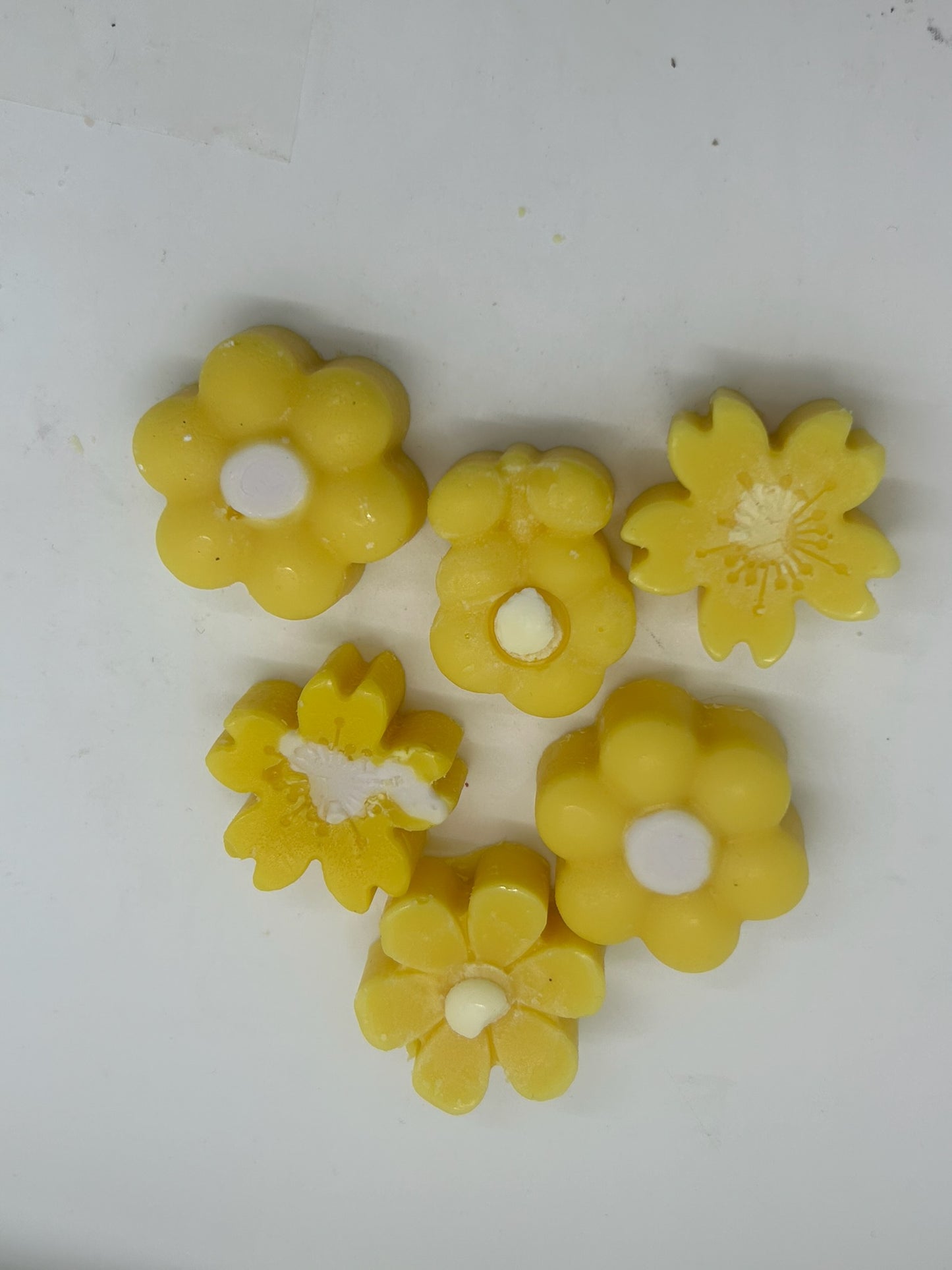 Euphoria Triple Scented Premium Wax Melts