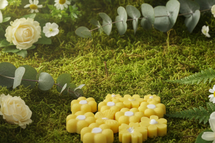 Euphoria Triple Scented Premium Wax Melts